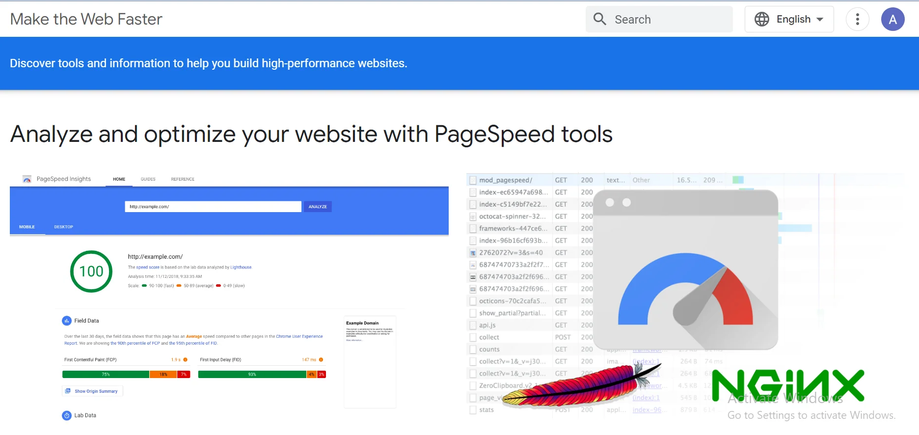 Homepage of Google PageSpeed Insights