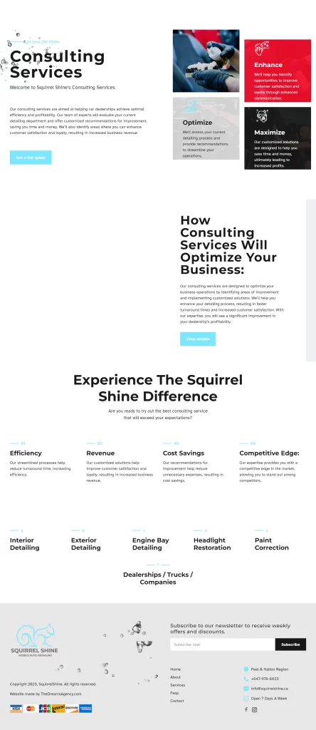 Consulting Services